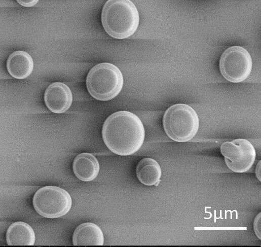 peptide particles 